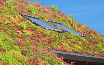 Kirkton Of Tough living roof systems
