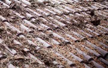 Kirkton Of Tough roof cleaning companies